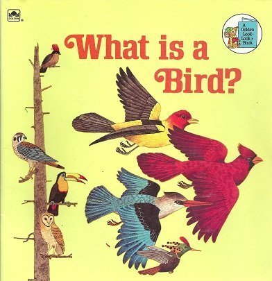 What Is a Bird? (Look-Look)