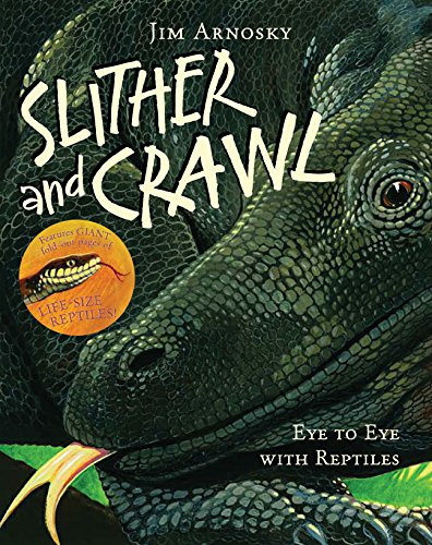 Slither and Crawl: Eye to Eye with Reptiles