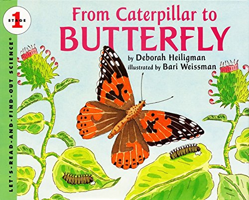 From Caterpillar to Butterfly  (Let's-Read-and-Find-Out Science, Stage 1)