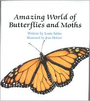 Amazing World Of Butterflies... - Pbk