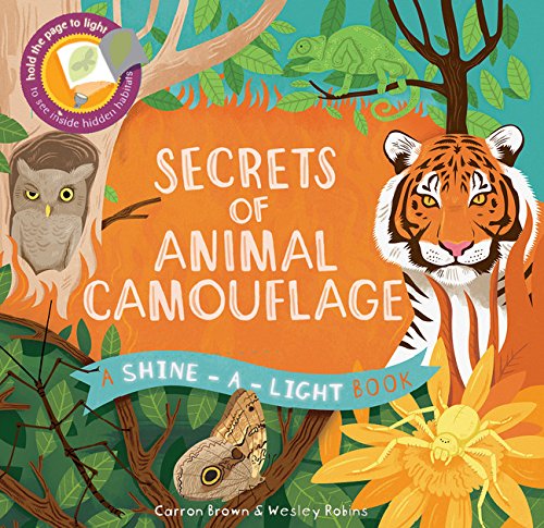 Secrets of Animal Camouflage: A Shine-a-Light Book